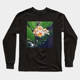 Pink Flowers Photography design with blue sky nature lovers Long Sleeve T-Shirt